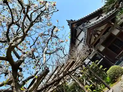 龍潭寺の{uncategorized: "未分類", other: "その他", undefined: "問題あり", building: "その他建物", grave: "お墓", sacred_gate: "鳥居", guardian: "狛犬", statue: "像", buddha: "仏像", history: "歴史", nature: "自然", garden: "庭園", animal: "動物", pagoda: "塔", temizu: "手水舎", mountain_gate: "山門・神門", sanctuary: "本殿・本堂", subordinate: "末社・摂社", art: "芸術", scenery: "景色", jizo: "地蔵", ema: "絵馬", goshuin: "御朱印", omikuji: "おみくじ", items: "授与品その他", amulet: "お守り", goshuincho: "御朱印帳", eats: "食事", festival: "お祭り", votive_dance: "神楽", shichigosan: "七五三参", wedding: "結婚式", experience: "体験その他", initially: "初詣", around: "周辺", anti_infection: "感染症対策"}