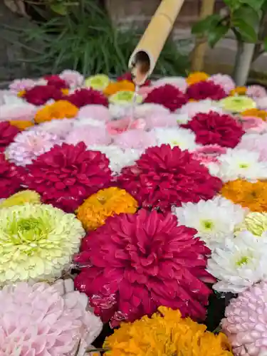 心行寺(東京都)