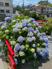 柳崎氷川神社(埼玉県)