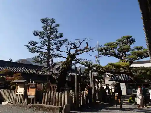 善名称院（真田庵）のその他建物