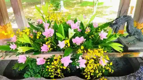 彌彦神社　(伊夜日子神社)の手水舎