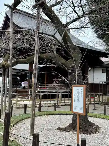 靖國神社(東京都)