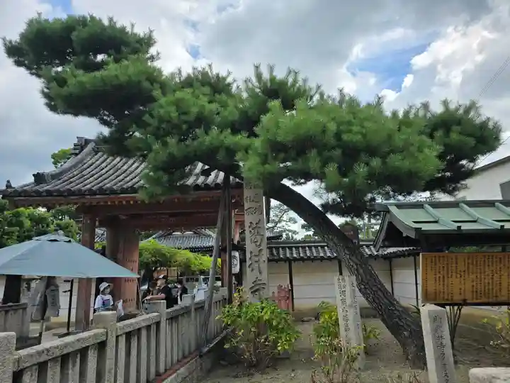 葛井寺(大阪府)