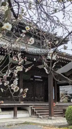 満願寺(京都府)