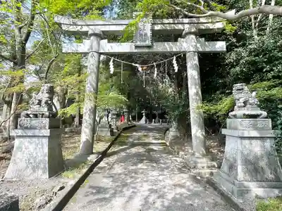 杉之木神社の鳥居