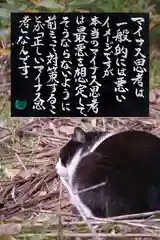 専念寺の動物