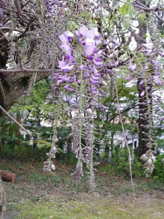 疋野神社(熊本県)