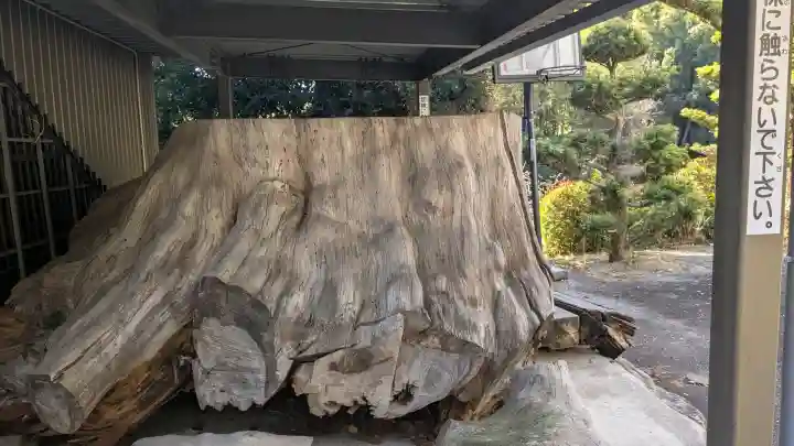 勝楽寺の{uncategorized: "未分類", other: "その他", undefined: "問題あり", building: "その他建物", grave: "お墓", sacred_gate: "鳥居", guardian: "狛犬", statue: "像", buddha: "仏像", history: "歴史", nature: "自然", garden: "庭園", animal: "動物", pagoda: "塔", temizu: "手水舎", mountain_gate: "山門・神門", sanctuary: "本殿・本堂", subordinate: "末社・摂社", art: "芸術", scenery: "景色", jizo: "地蔵", ema: "絵馬", goshuin: "御朱印", omikuji: "おみくじ", items: "授与品その他", amulet: "お守り", goshuincho: "御朱印帳", eats: "食事", festival: "お祭り", votive_dance: "神楽", shichigosan: "七五三参", wedding: "結婚式", experience: "体験その他", initially: "初詣", around: "周辺", anti_infection: "感染症対策"}