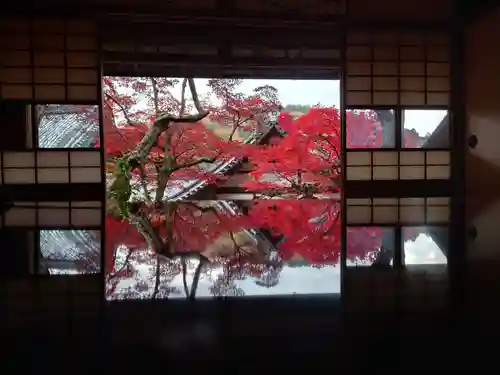 柳谷観音　楊谷寺(京都府)