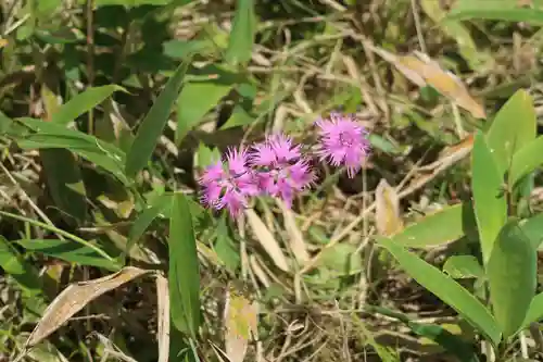 仏法紹隆寺(長野県)