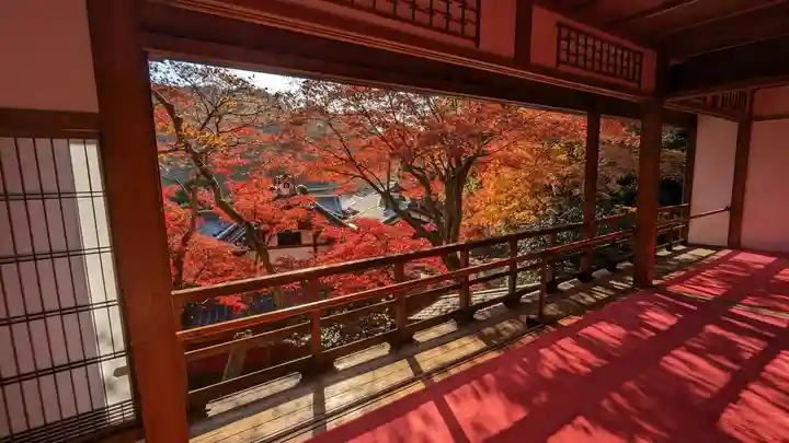 柳谷観音 楊谷寺(京都府)