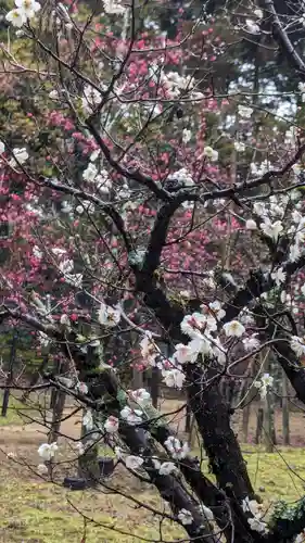 長岡天満宮(京都府)