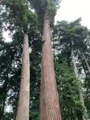 磯山神社(栃木県)