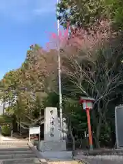 甲八幡神社の建物その他