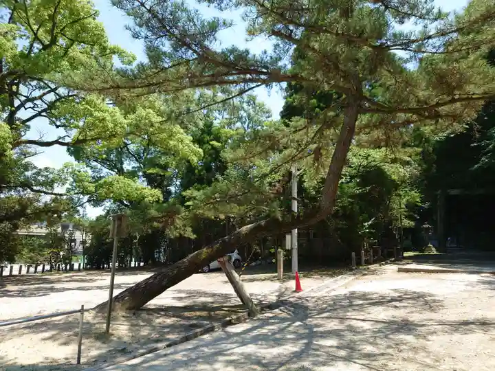 石清水八幡宮の自然