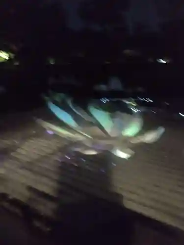 高台寺（高台寿聖禅寺・高臺寺）の周辺