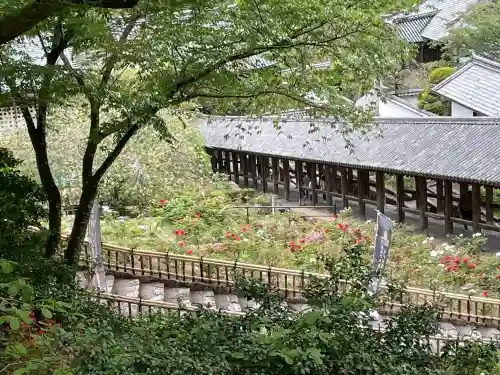 長谷寺(奈良県)