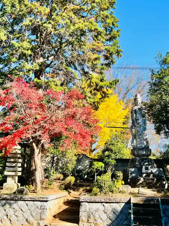 妙法寺(金色不動尊)の{uncategorized: "未分類", other: "その他", undefined: "問題あり", building: "その他建物", grave: "お墓", sacred_gate: "鳥居", guardian: "狛犬", statue: "像", buddha: "仏像", history: "歴史", nature: "自然", garden: "庭園", animal: "動物", pagoda: "塔", temizu: "手水舎", mountain_gate: "山門・神門", sanctuary: "本殿・本堂", subordinate: "末社・摂社", art: "芸術", scenery: "景色", jizo: "地蔵", ema: "絵馬", goshuin: "御朱印", omikuji: "おみくじ", items: "授与品その他", amulet: "お守り", goshuincho: "御朱印帳", eats: "食事", festival: "お祭り", votive_dance: "神楽", shichigosan: "七五三参", wedding: "結婚式", experience: "体験その他", initially: "初詣", around: "周辺", anti_infection: "感染症対策"}