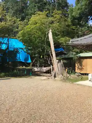 大原野神社のその他建物