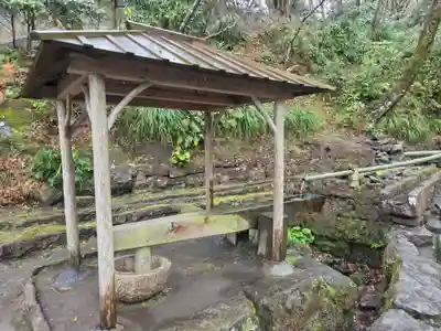 猫神社(鹿児島県)