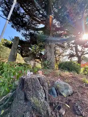 京都乃木神社(京都府)
