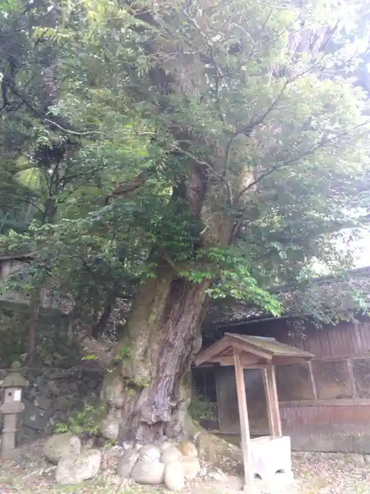 田結神社(福井県)