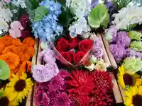 大谷地神社の手水舎