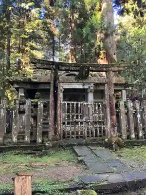 高野山金剛峯寺奥の院(和歌山県)