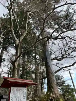 富士山東口本宮 冨士浅間神社(静岡県)
