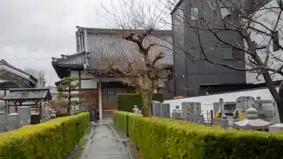 光照寺(京都府)