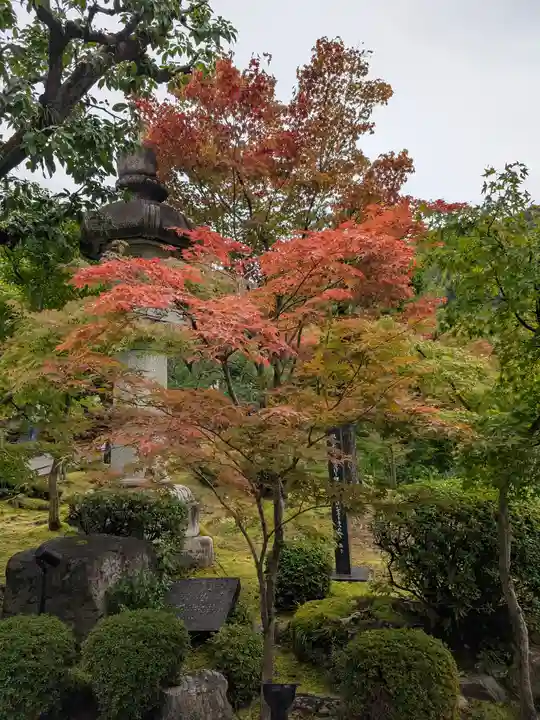 禅林寺(永観堂)(京都府)