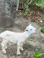 楽法寺(雨引観音)(茨城県)