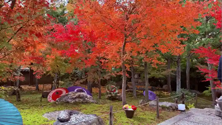 勝林寺(京都府)