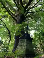 浪切不動尊の自然