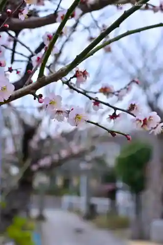永谷天満宮(神奈川県)