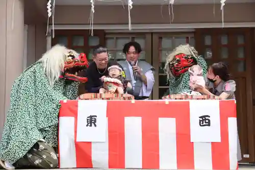 釧路一之宮 厳島神社(北海道)