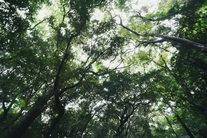 嚴島神社(山口県)