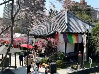 宝勝山　南藏院   蓮光寺(東京都)