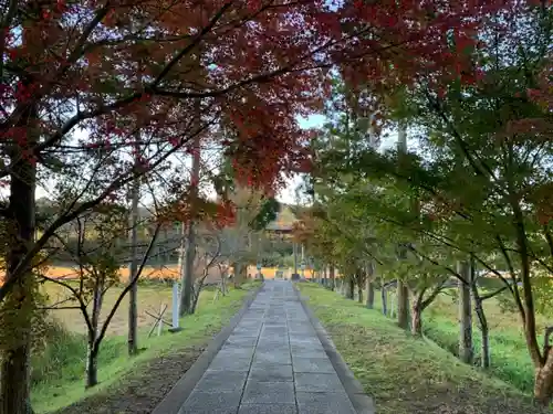 諏訪神社のその他建物