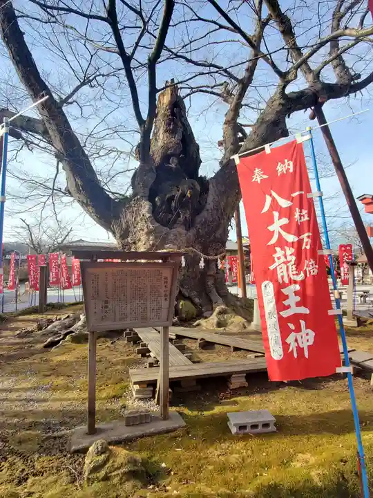 秩父今宮神社の自然