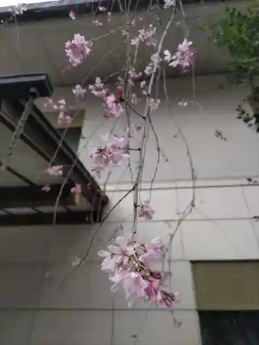 宝勝山　南藏院   蓮光寺の庭園