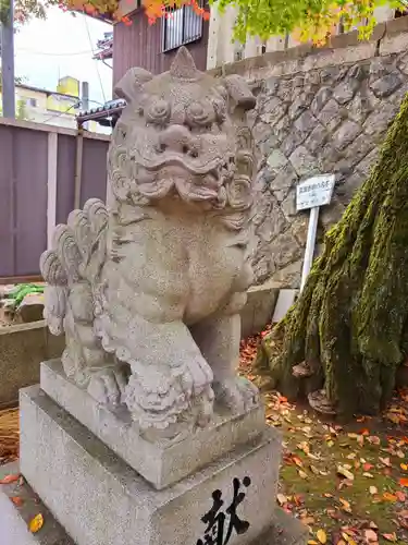 御霊神社の狛犬