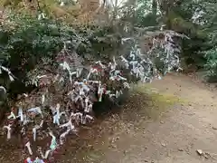 日先神社のおみくじ