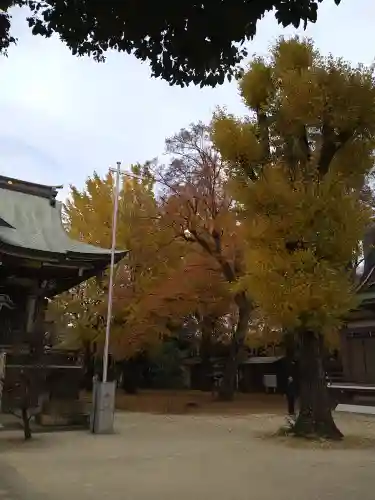 諏訪神社の自然
