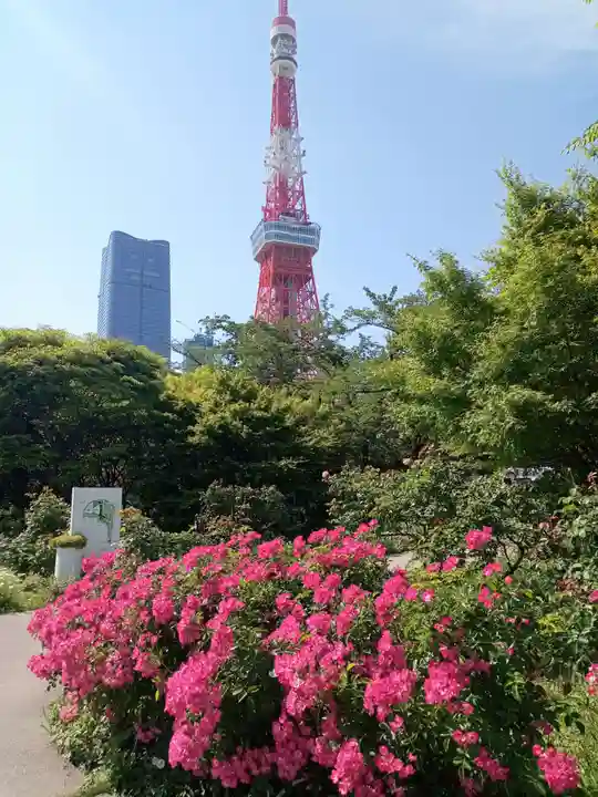 増上寺(東京都)