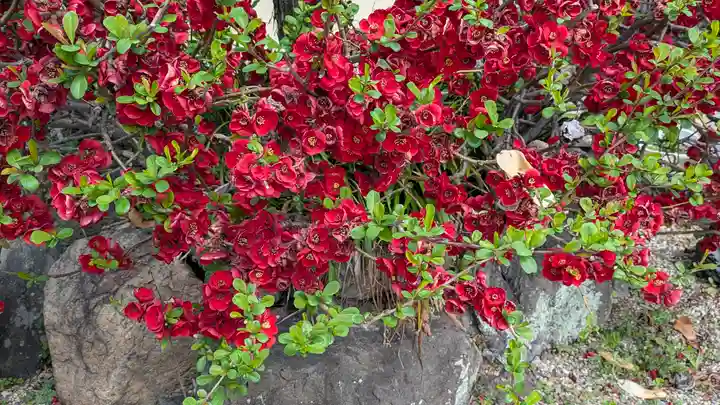 阿弥陀院(大阪府)