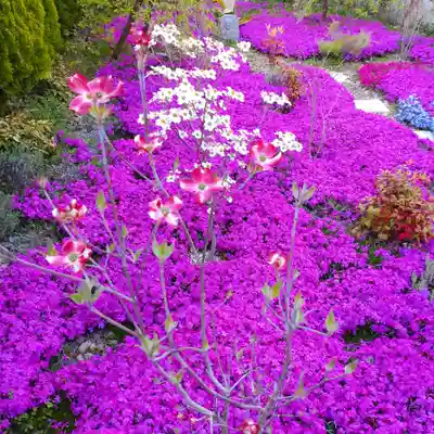 寿量山 速成寺(奈良県)