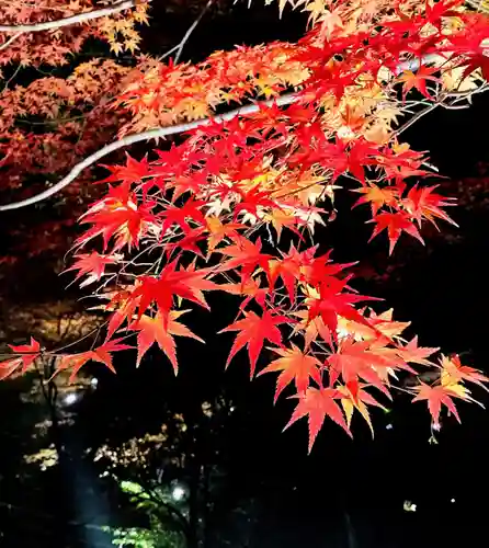 北野天満宮の景色