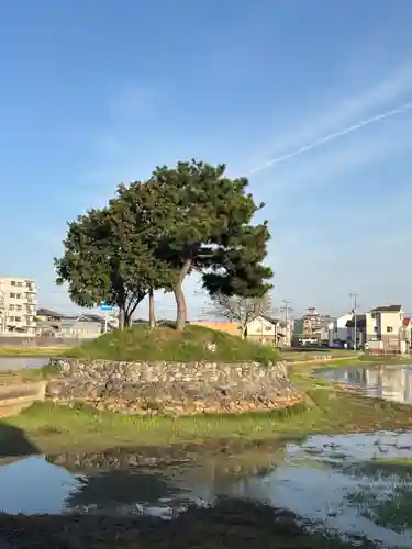 大年神社(兵庫県)