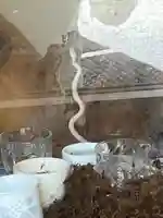 三宝神社(福岡県)